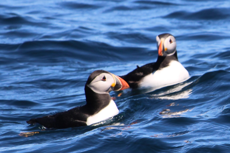 Isles of Scilly Community Research Network
